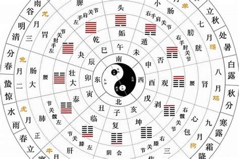 天干 地支 五行|天干地支五行对照表 – 天干地支概念